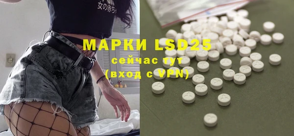 прущие грибы Богородицк
