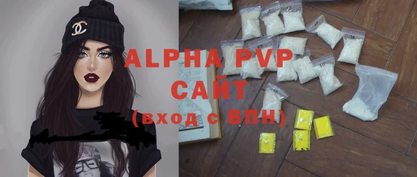 прущие грибы Богородицк