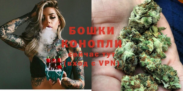 прущие грибы Богородицк