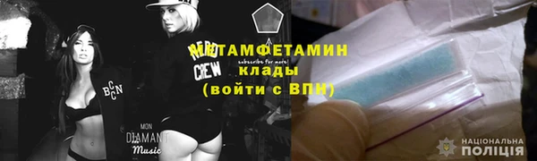 прущие грибы Богородицк