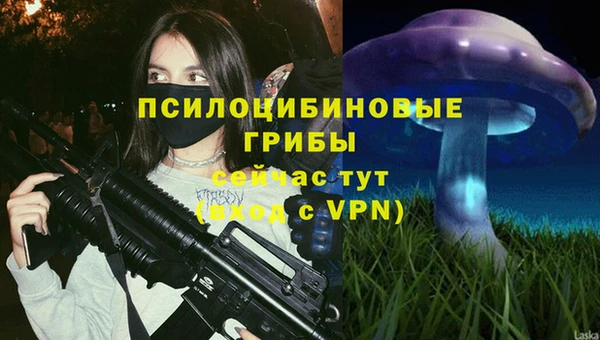 кокаин перу Богданович