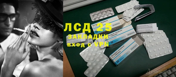 прущие грибы Богородицк
