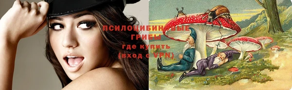 кокаин перу Богданович