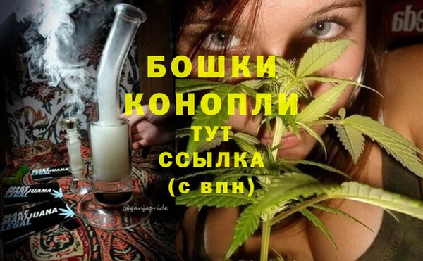 прущие грибы Богородицк